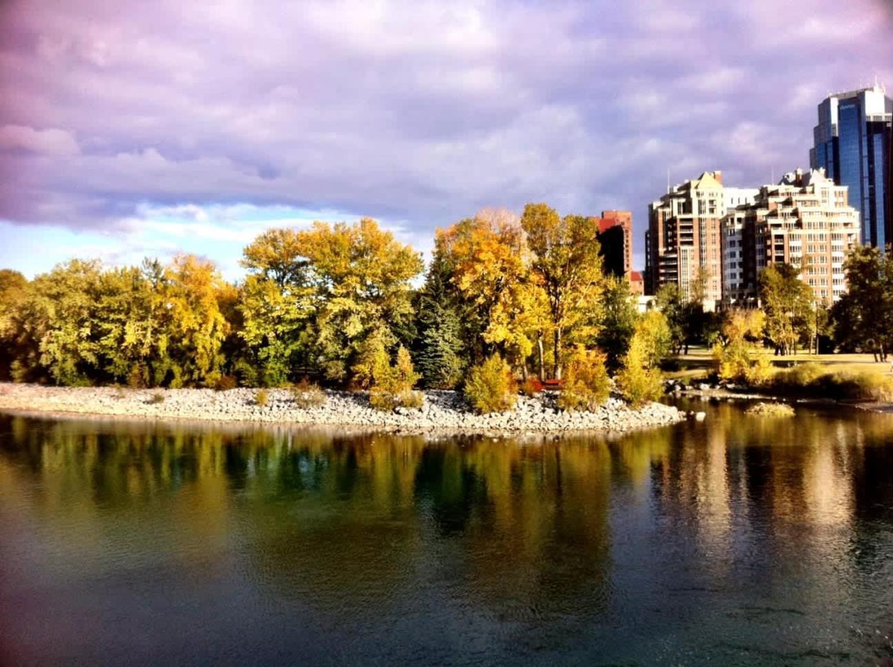New! 22fl Downtown W Tower View & Pool, Free Banff Pass, Parking, Gym, Wine & More! Calgary